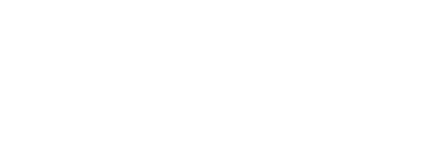 SOUTH DEVELOPERS